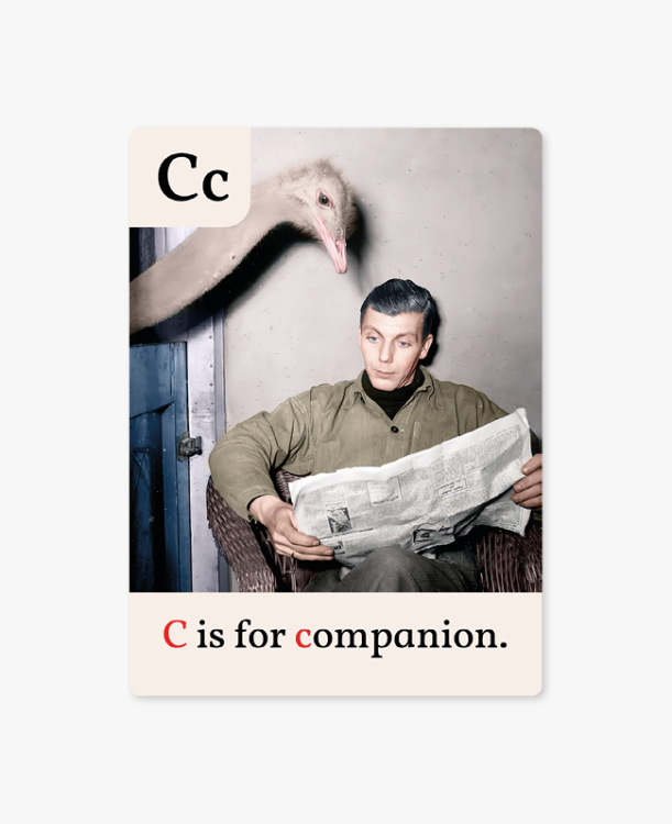 DZM-Elementarz-Companion.png